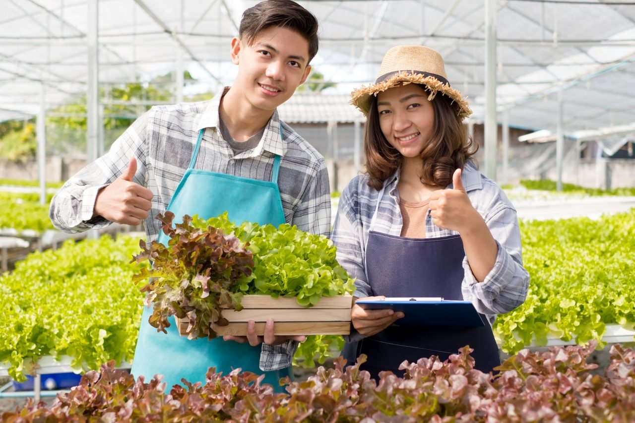 hydroponics-young-asian-farmers-examined-the-quality-of-organic-vegetables-grown-using-hydroponics-1.jpg